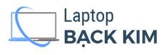 Website demo laptop